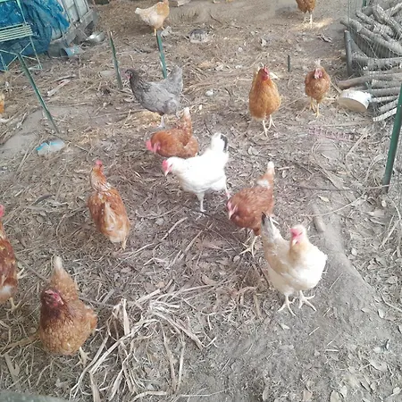 Car Au Bord De L Eau *