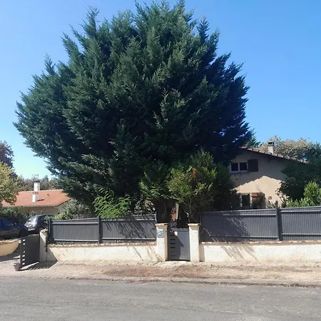 Car Au Bord De L Eau