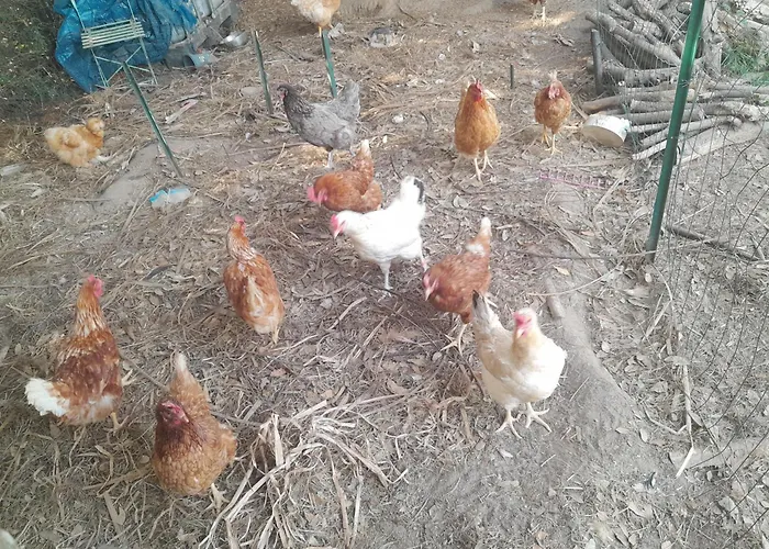 Car Au Bord De L Eau *