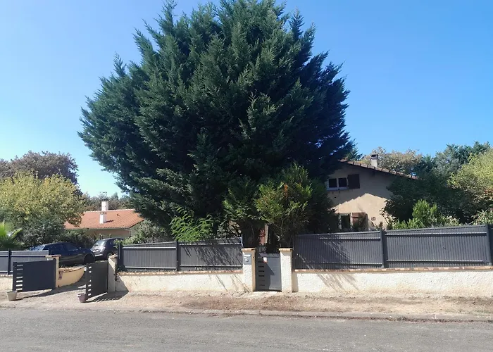 Car Au Bord De L Eau